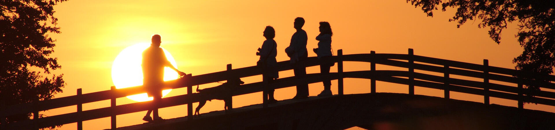 Silhouette of group of happy people